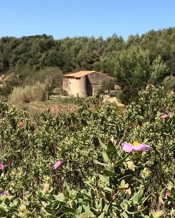 Appartement Cosy Proche Saint-Cyr-sur-Mer